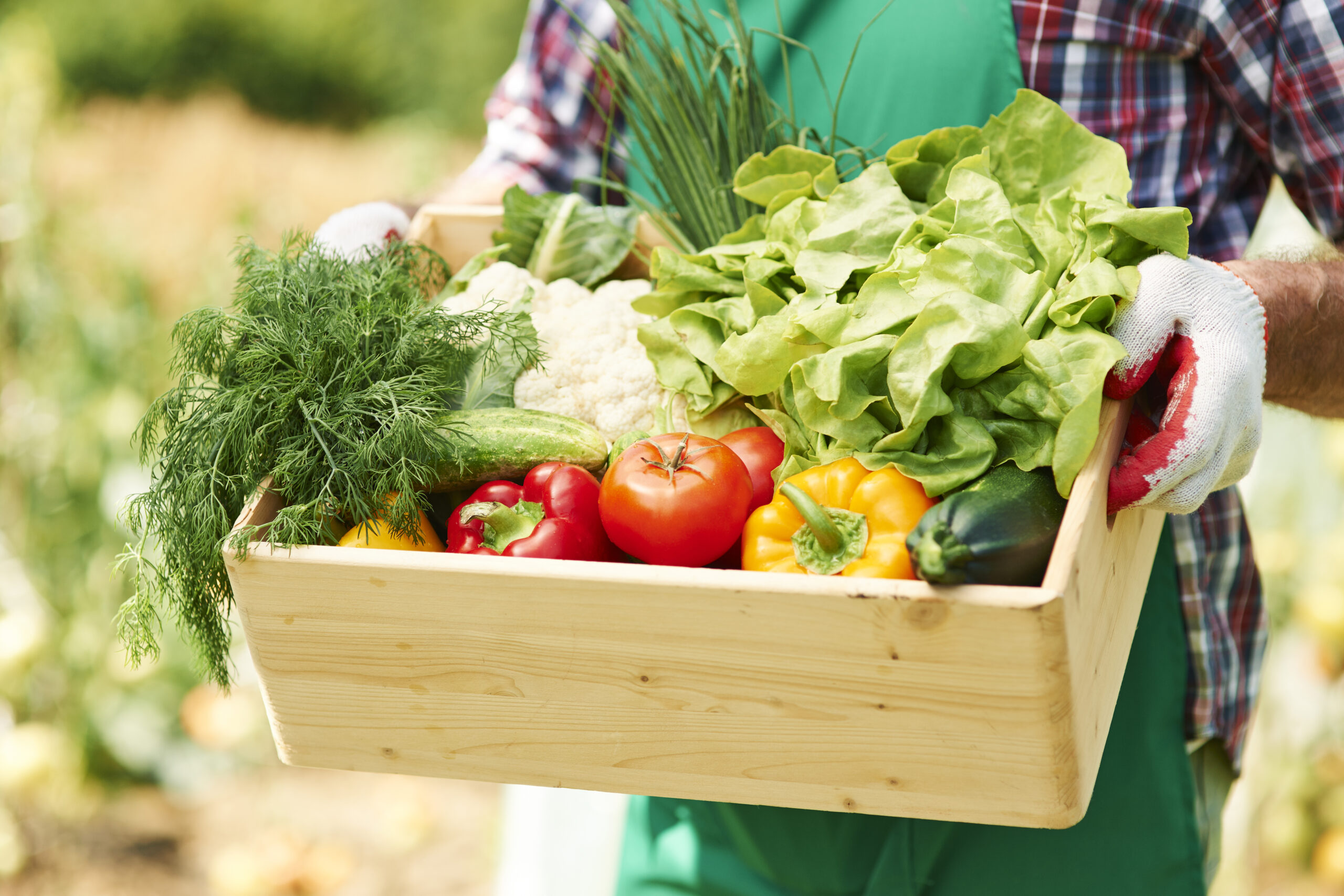 close-up-of-box-with-vegetables-in-hands-of-mature-man-scaled-1.jpg