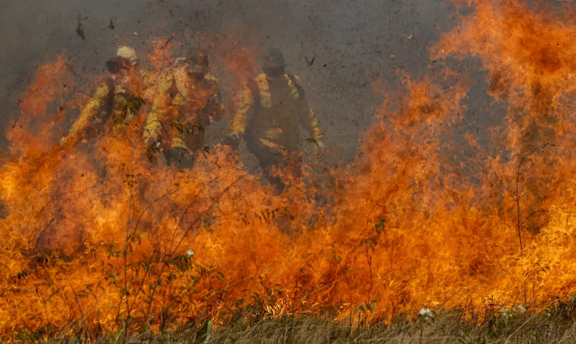 36_retro_2023_incendios_castigam_o_pantanal.webp