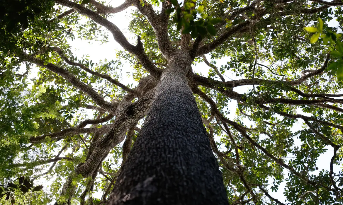 d6a6622_1.webp