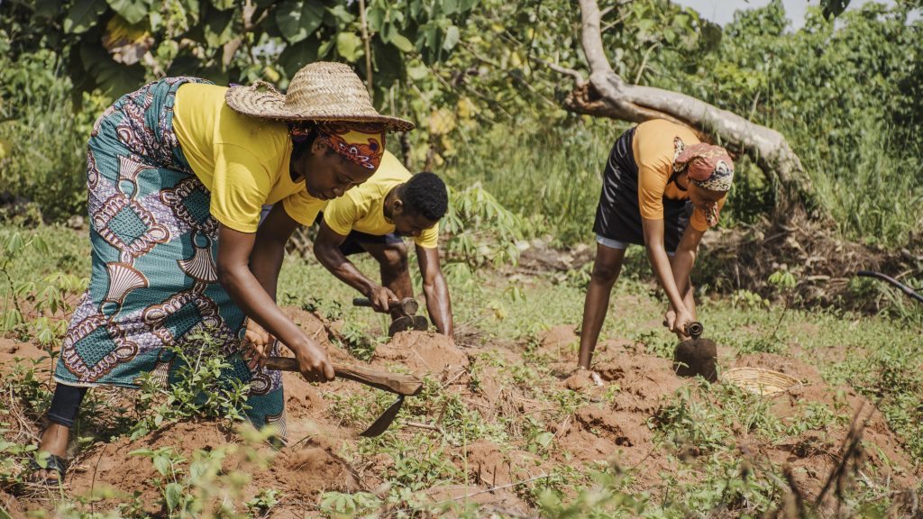 700 famílias correm risco de despejo no Maranhão