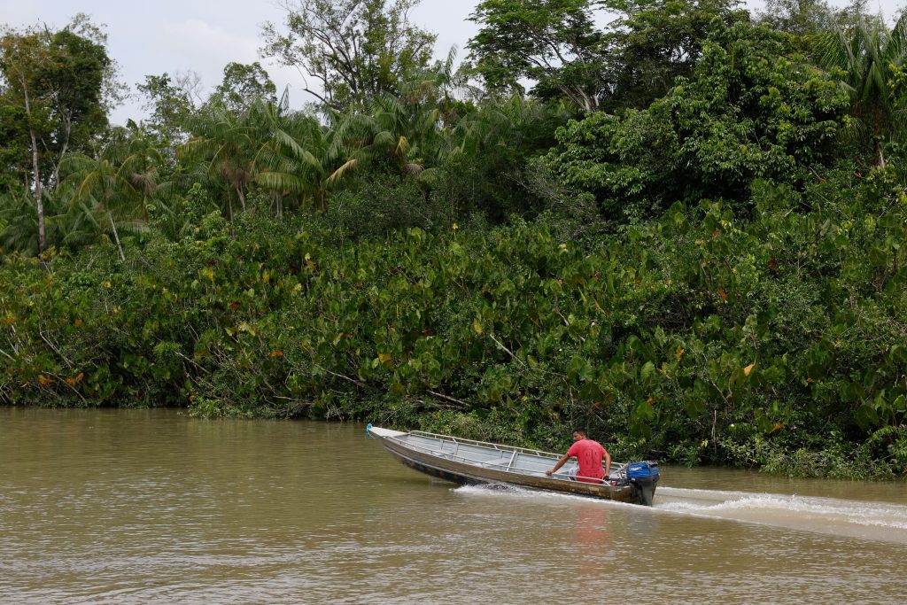 Brasil apresenta fundo bilionário para proteção de florestas na COP30. Foto: Fernando Frazão/Agência Brasil