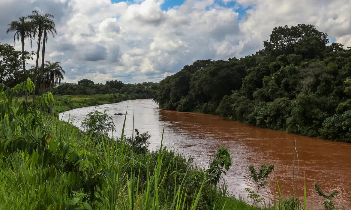barragem-brumadinho-tania-rego-agencia-brasil.webp