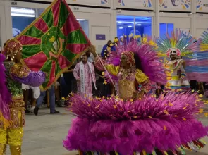 Mangueira e Beija-Flor definem seus sambas para 2025