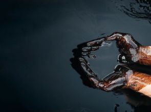 Mulheres e pescadores do Litoral Norte de PE tiveram maior exposição ao petróleo nos vazamentos de 2019