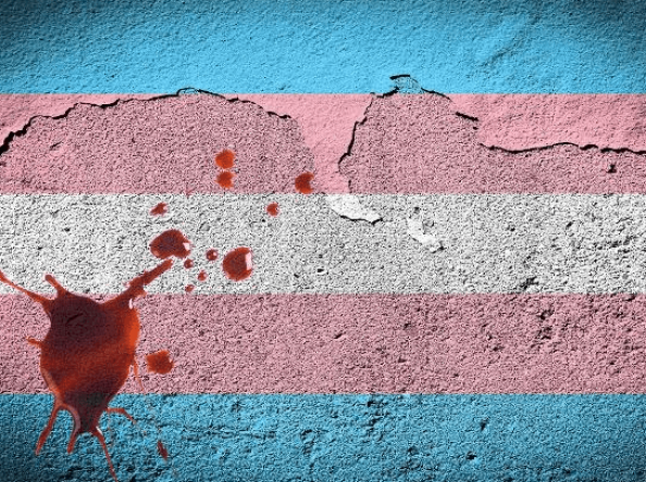 Violência transfóbica matou ao menos 80 pessoas trans e travestis no Brasil em 2025, diz dossiê