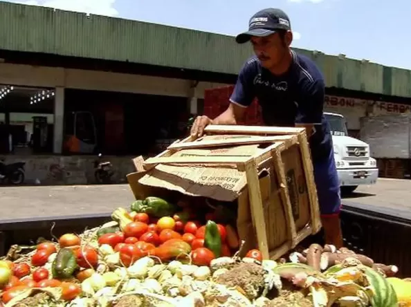 Mais de 20 milhões de pessoas não tiveram acesso adequado a comida em 2023, revela IBGE