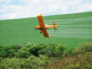 Dívidas no campo sobem 56% e atingem 853 produtores individuais, mais que o dobro das empresas do agro