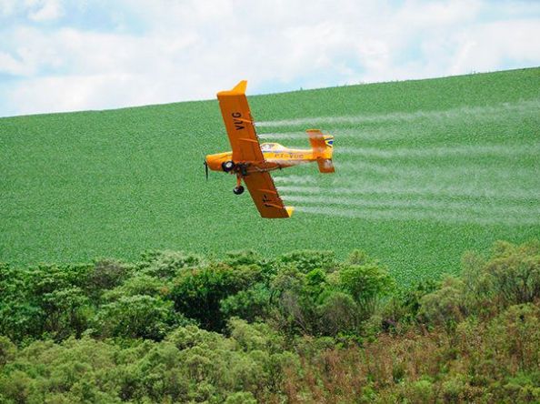 Dívidas no campo sobem 56% e atingem 853 produtores individuais, mais que o dobro das empresas do agro