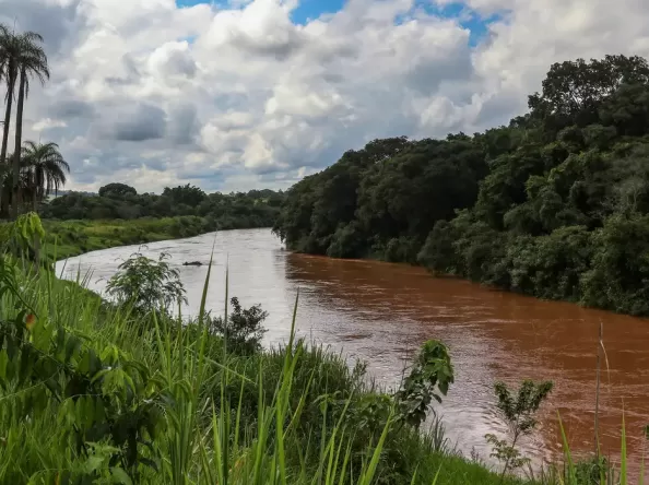 Sete anos após desastre, mulheres negras de Brumadinho ainda enfrentam insegurança alimentar