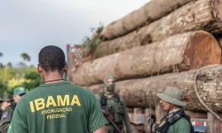 foto-fiscalizacao-ibama-floresta-terra-indigena-povo-originario.jpeg