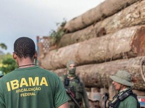Infrator terá de pagar R$ 5,3 milhões por degradar floresta em terra indígena