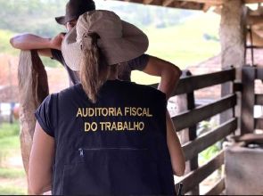 Auditores fiscais denunciam “apagão” nas ações de combate ao trabalho escravo com operações canceladas