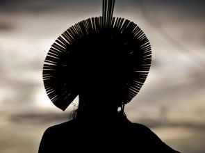 Indígena é alvo de tentativa de homicídio em território no Pará e lideranças cobram ação de autoridades