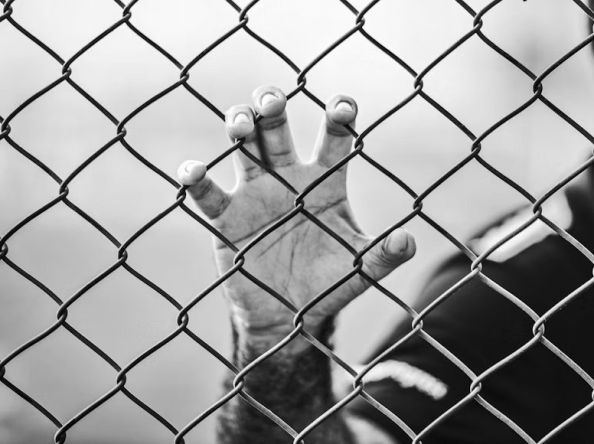 87% da população carcerária do Ceará é composta por homens negros 