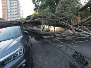 Comércio perde mais de R$ 50 milhões com falta de energia em São Paulo