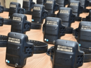 Nova lei exige uso de tornozeleira eletrônica imediato para agressores de mulheres